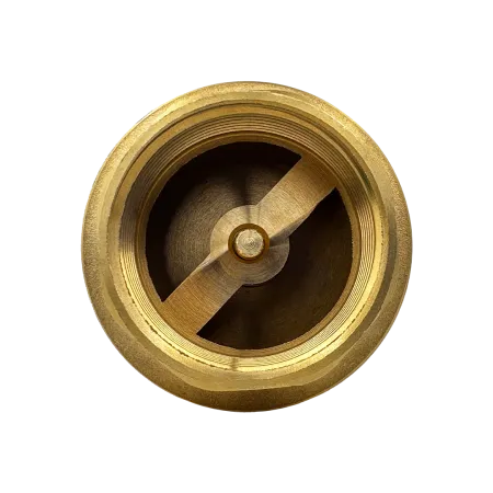 Обратный клапан MAXPUMP 1" НР - ВН